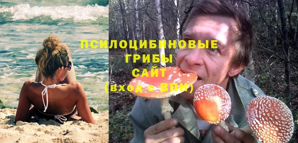 мяу мяу мука Баксан