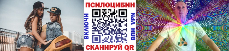 KRAKEN ССЫЛКА  Коммунар  Псилоцибиновые грибы Psilocybe 